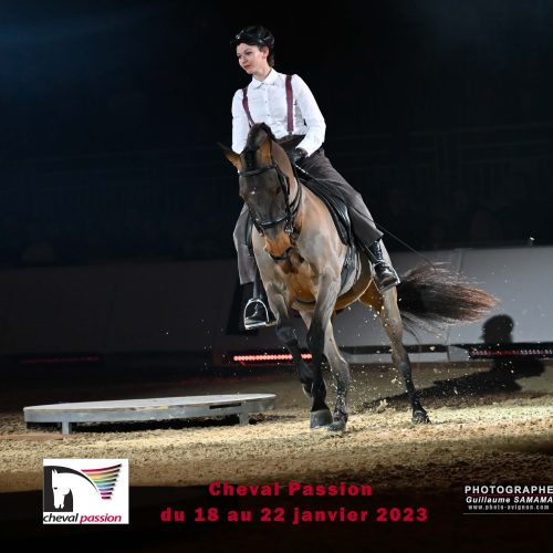 Cheval Passion Avignon
